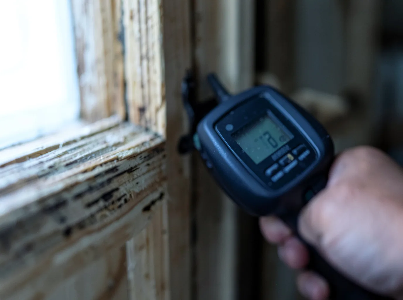 Commercial Water Damage Restoration in Walstonburg, NC
